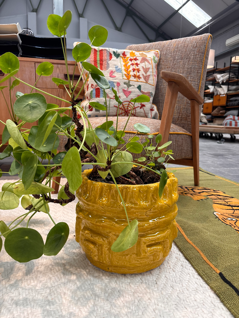Pot jaune 08 29x23(h)