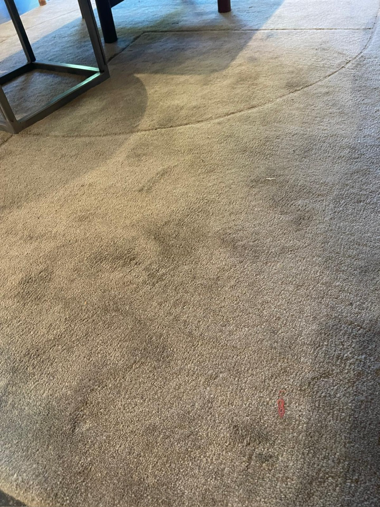 Tapis Lineal Poem 170x240 moss