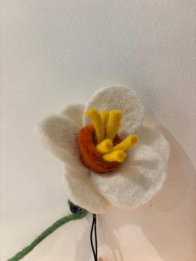 ENDLESS FLOWER, DAFFODIL, blanche jaune ou rose